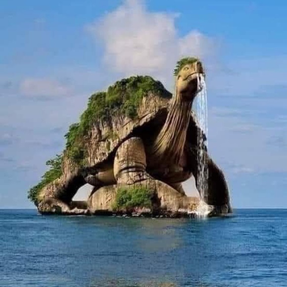 Meet your Posher, Sohana - Picture 1 of 1